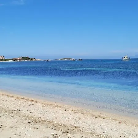 Casa Diana P3115 Appartement