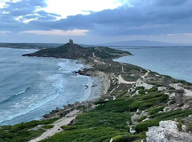 Apartman Casa Diana P3115 Riola Sardo