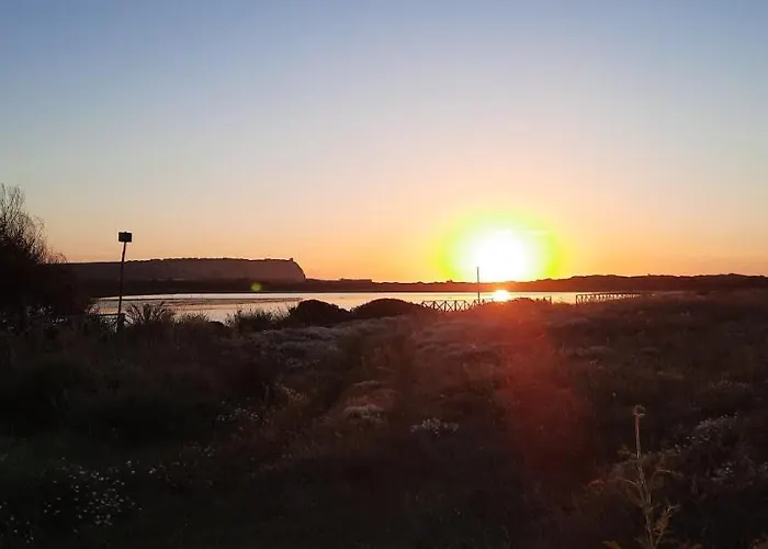 公寓 Casa Diana P3115 *